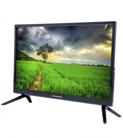 ��������� Schaub Lorenz SLT24N5500 (LED, 24, DVB-T/T2+, Smart TV)