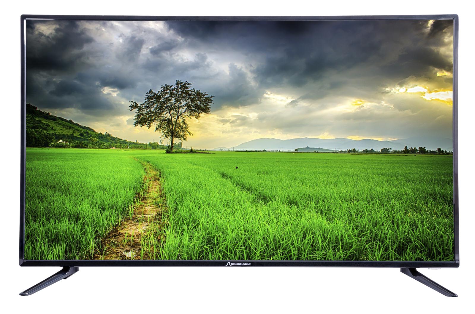 ��������� Schaub Lorenz SLT43N6000 (LED, 43, DVB-T/T2/S2)"