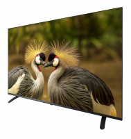 ��������� Schaub Lorenz SLT50SU7500 (LED, 50 4K UHD, DVB-T/T2/S2+ Smart TV Wi-Fi)