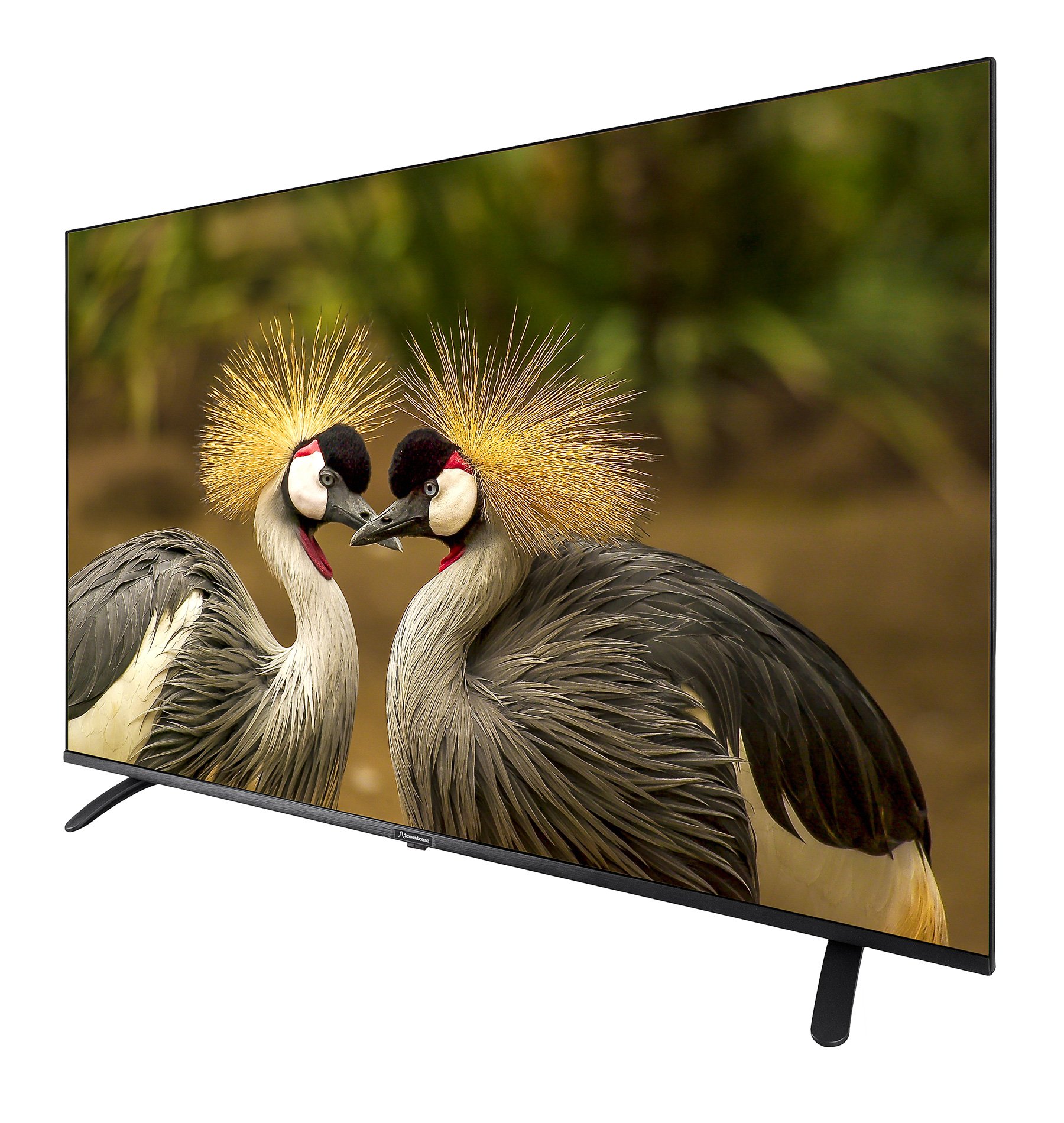 ��������� Schaub Lorenz SLT43SU7500 (LED, 43 4K UHD, DVB-T/T2/S2+ Smart TV Wi-Fi)"